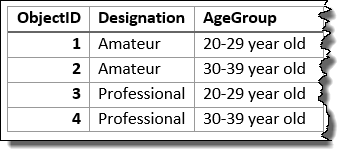 Couche en entrée synthétisée à l’aide des champs Designation (Désignation) et Age Group (Tranche d’âge) Couche en entrée synthétisée à l’aide des champs Designation (Désignation) et Age Group (Tranche d’âge)