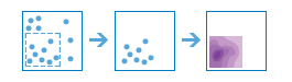 Calculer la densité - Processus Calculer la densité - Processus